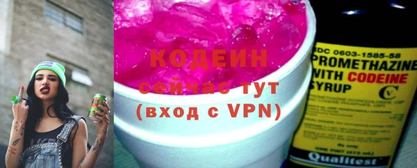 прущий лед Алзамай