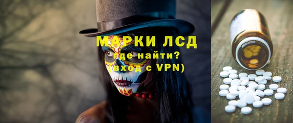прущий лед Алзамай