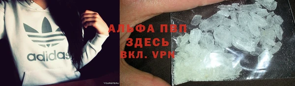 прущий лед Алзамай