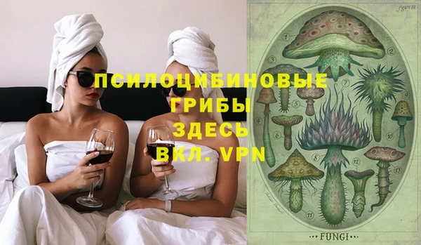 прущий лед Алзамай