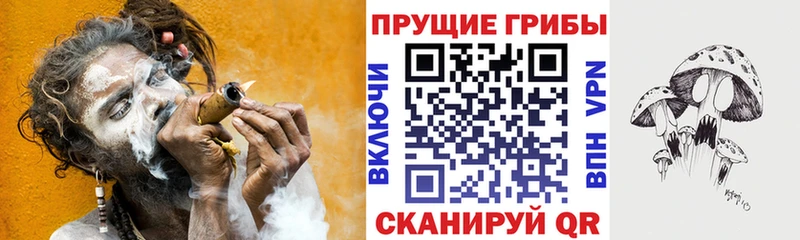 нарко площадка Telegram  Сортавала  Галлюциногенные грибы мицелий 
